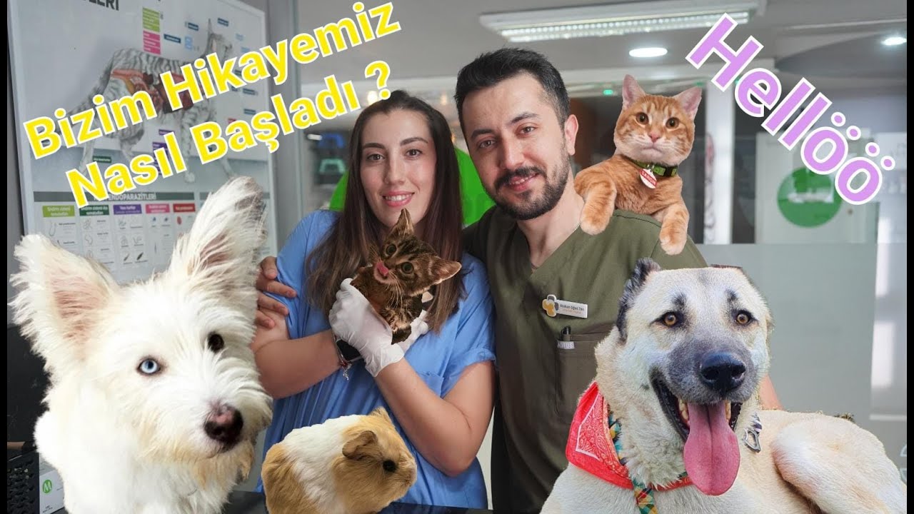 MERHABA YOUTUBE  BİZ GELDİK :)