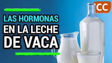 ¿Cuándo empezaron a poner hormonas en la leche?