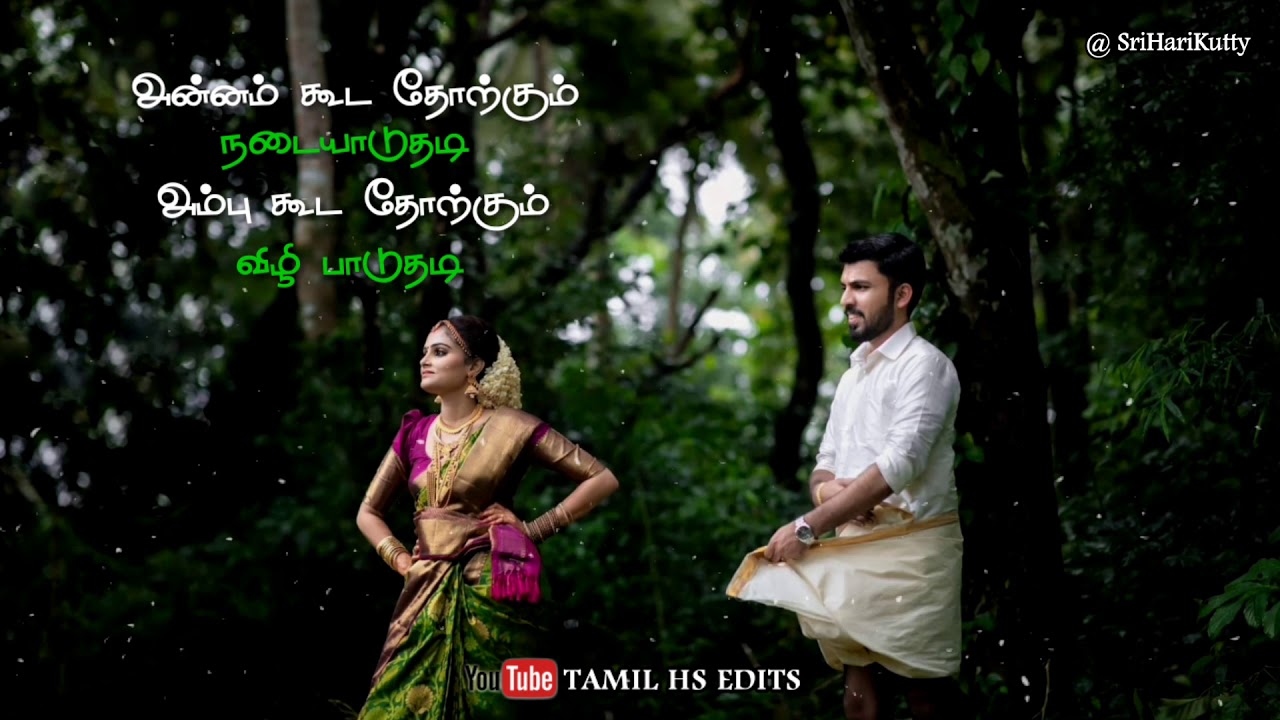 Maane Thene Kattipudi Song Lyrics  Udhaya Geetham  Tamil whatsapp status  Ilayaraja