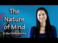 The nature of mind five defilements  three poisons in buddhism