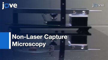 Non-Laser Capture Microscopy : Microdissection-Discrete Mouse Brain Regions l Protocol Preview
