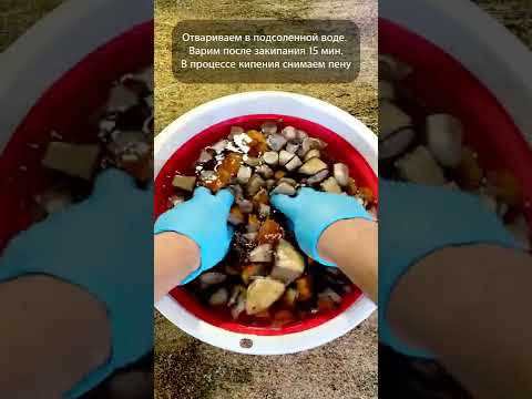 😳 Рецепт вкуснейших маринованных грибов!!! #shorts