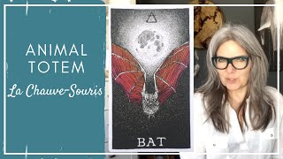 Est-ce qu'une Chauve-souris voit clair ?