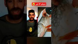 اغرب ما وجده الصياد في بطن السمكة #ردة_فعل #رياكشن #حيوانات