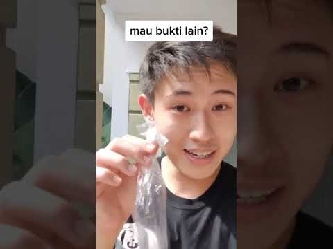 Video: 3 Cara Menjaga Hamster yang Baru Lahir