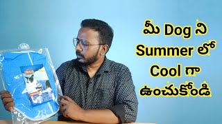 మీ Dog ని Cool గా ఉంచుకోండి ఈ Cooling Vest తో | Pets TV Telugu by Pet's TV Telugu 5,562 views 3 years ago 3 minutes, 54 seconds