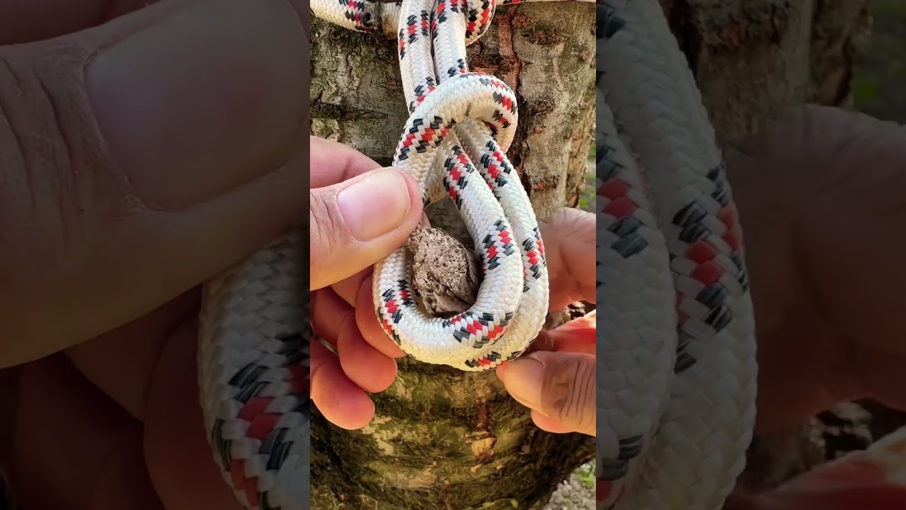 Survival Skill: You only need rope 