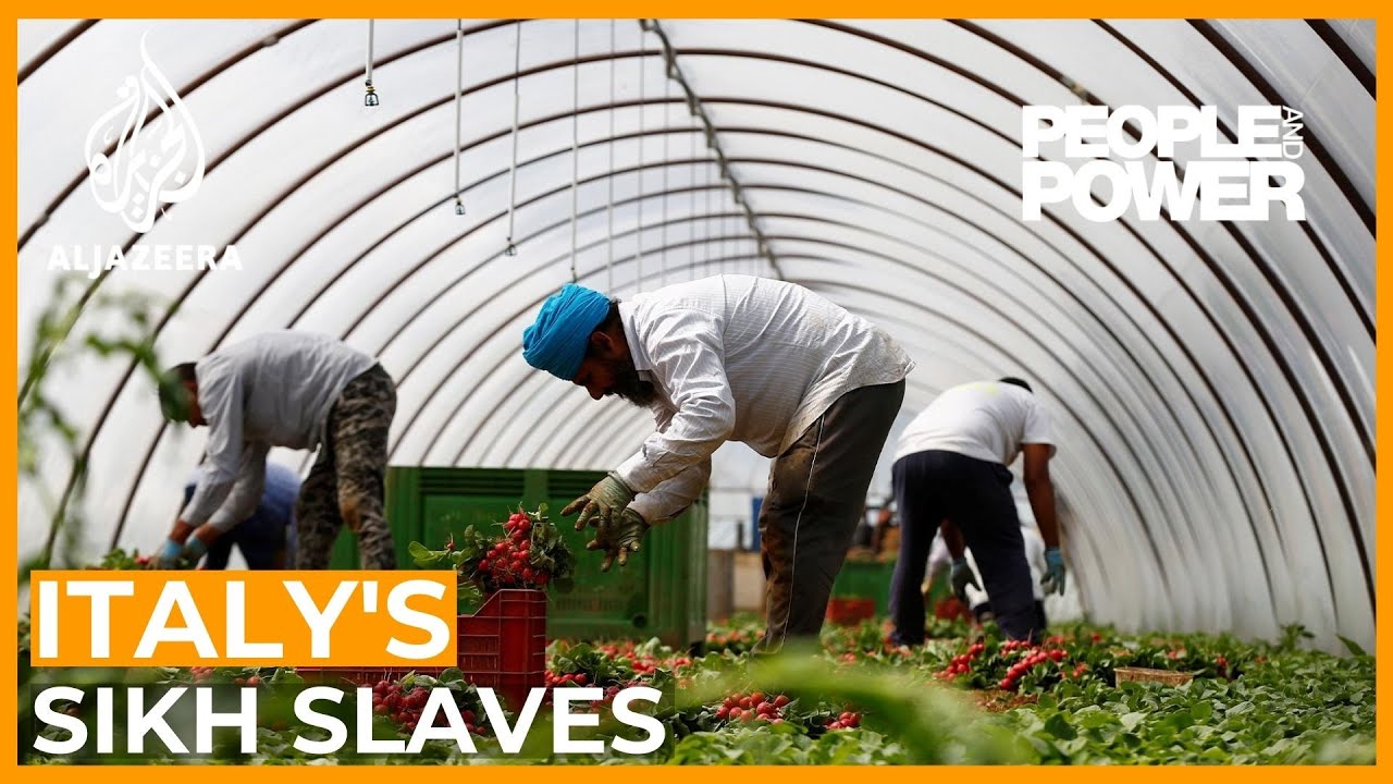 عبيد السيخ في إيطاليا | الشعب والسلطة