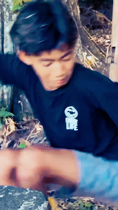 Mendadak ngakak. Entul jatuh dan mas Yoyok GWSM takut ulat matahari ☀️🐛