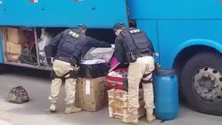 Mulher é presa com vasta quantidade de drogas, em ônibus que seguia de SP para Ribeira do Pombal