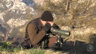 Digiscoping con Swarovski Optik ATS 80 HD