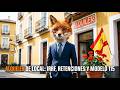 Alquiler de Local: IRPF, Retenciones y Modelo 115 Explicado 🦊