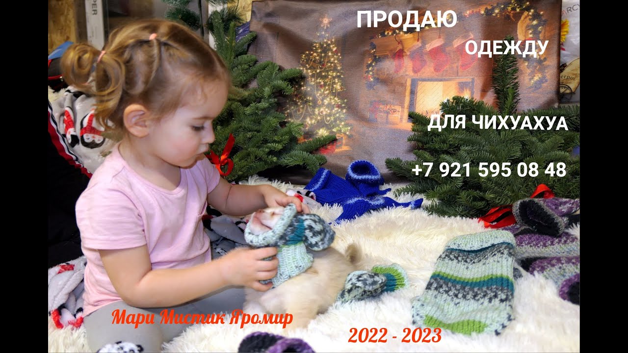 Авито Зеленоград Платья