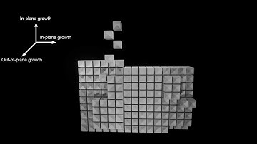 Watch nanoparticles grow into crystals