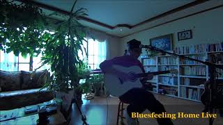 Bridge Over Troubled Water - Simon & Garfunkel. (Cover By Bluesfeel...