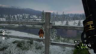 TheHunter: Call Of The Wild random Gameplay