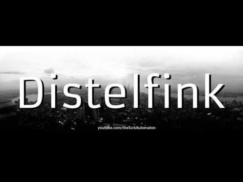 Бейне: Distelfink қалай жазылады?