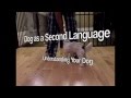 Dog as a second language learn to read dogs  fenzi dog sports academy class