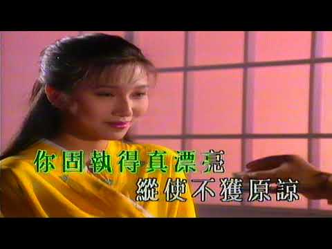 你漂亮的固執 （音樂）夏韶聲