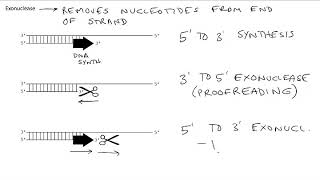 475 PCR Part2