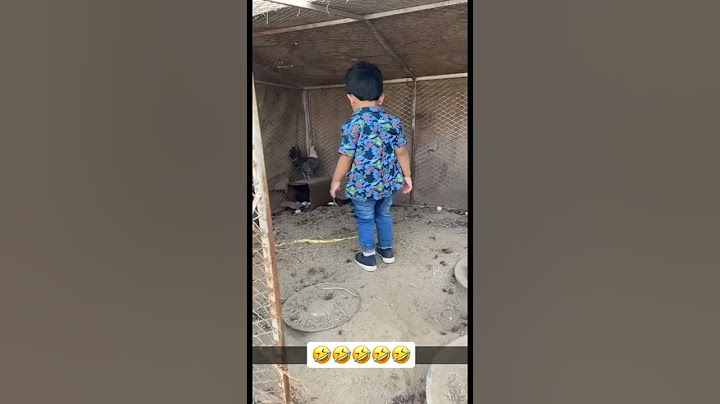 دخل عند الدجاج شوفو وش صار له