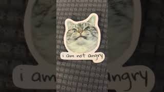 I am not angry !!                                #shorts #viral #lol