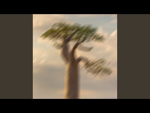 Music Video Preview