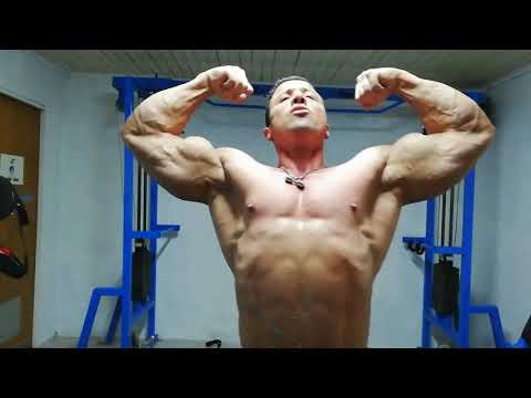 Carelocko bodybuilding arnold classic south america 