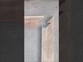 Perfect Miter Joint Woodworking Technique #Woodworking #MiterJoint #CarpentrySkills