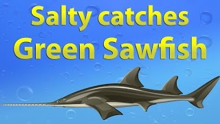 Fishao - Salty Catches Green Sawfish 5