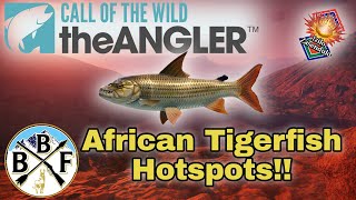 Hotspot Guide: African Tigerfish - Plus Hook Size, Bait & Lure! | Call of the Wild: theAngler