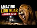 زئير أسد مذهل في رحلة سفاري ليلية 🦁 سفاري كروجر #krugerpark #طبيعة