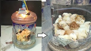 How to Make Simple and Easy EGG INCUBATOR at home By Using PLASTIC BOTTLE - Hatch chicks