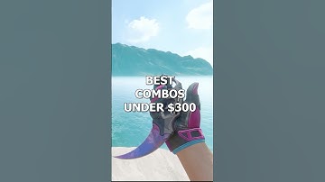 The BEST COMBOS Under $300 (BUDGET CS2 Knife and Glove Combo)