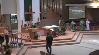 15th Sunday in Ordinary Time (Vigil), July 12th 2025