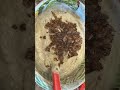 Plant Based French Onion Dip Recipe #frenchonion #plantbasedfood #veganrecipes #dairyfree