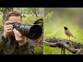 How to Approach Birds for Photography | Motorised Zeapon Micro 2 Slider