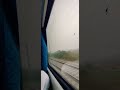 Train travelling #viral #viralvideo #video #public #reels #trending #shorts