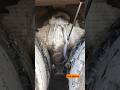 under truck mud deep clean ASMR heavy equipment #asmrcleaning #satisfying #satisfyingvideos