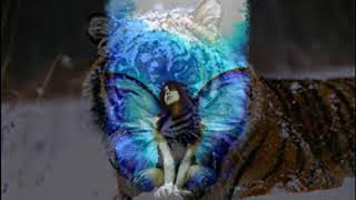 Soliaris ft. Lina Joy - Negaliu tylet  2010