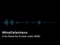 MinaCelentano A Un Passo Da Te Wzk Remix