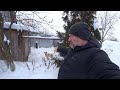 -28 собака спит на улице