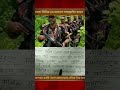 স্থানীয়দের ঐক্যবদ্ধ প্রতিরোধের মুখে রকেটের গতিতে পিছু হটতে বাধ্য হয় ভারতীয় সীমান্তরক্ষী বাহিনী#Short