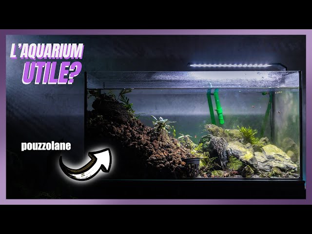 Cet aquarium est MOCHE mais tellement EFFICACE! 