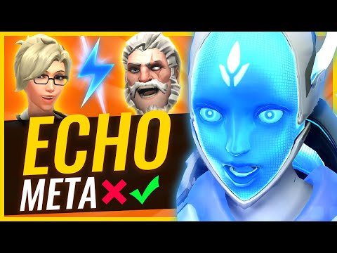 the-echo-meta---best-&-worst-heroes-with-new-hero!-(winners-&-losers)