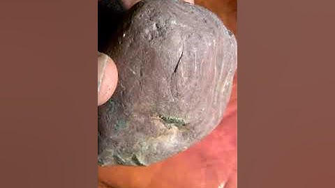 Mudfossil , Giant Nephilim finger or Heart
