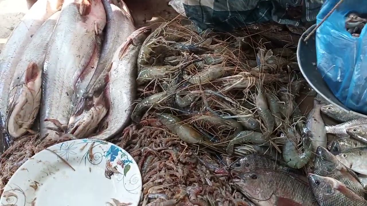 সাগর পাড়ে বিশাল মাছের বাজার। সাবস্ক্রাইব করে সাথে থাকুন। 