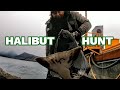 Catching cod and halibut from the shore in Norway, on spinning tackle