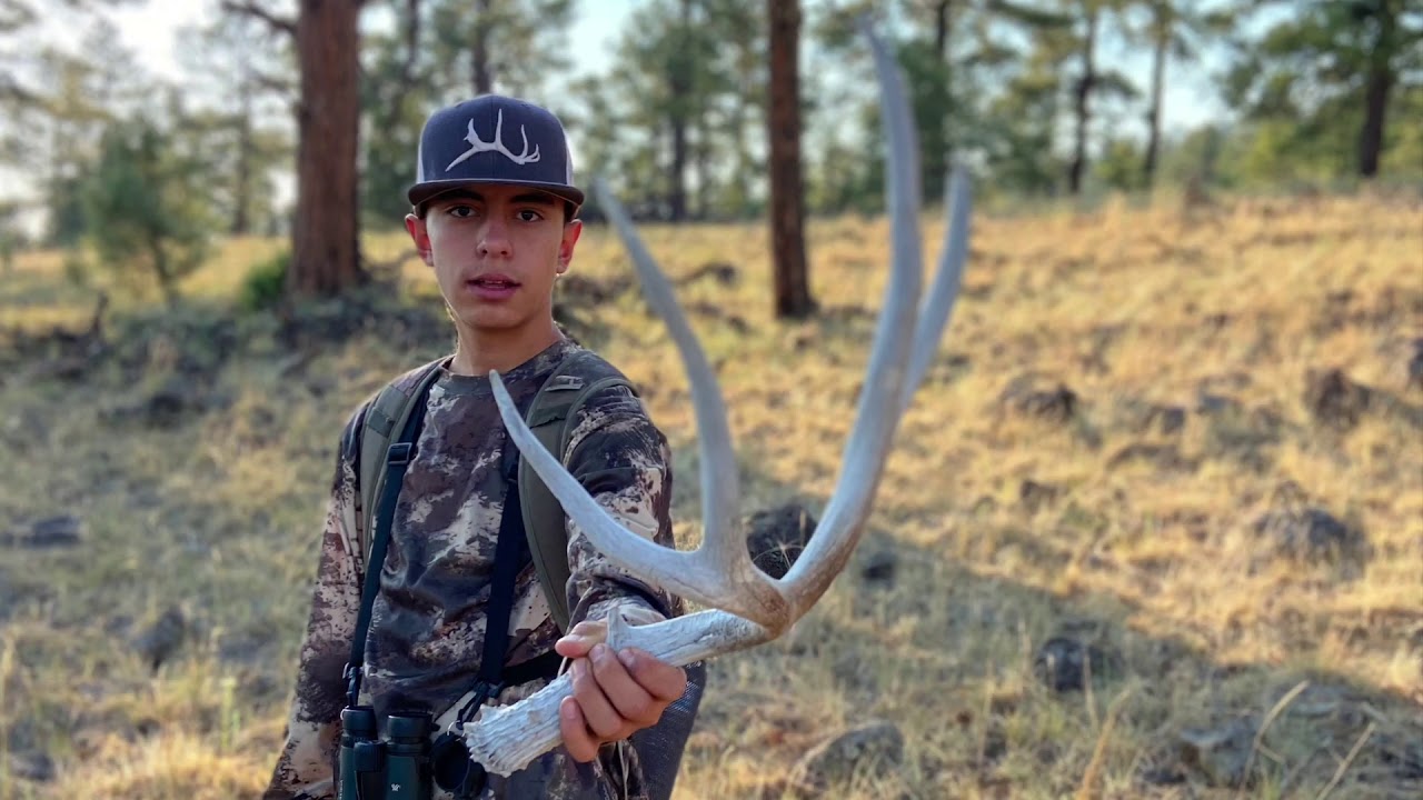 New Mexico Shed Hunting YouTube