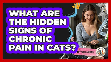 What Are The Hidden Signs Of Chronic Pain In Cats? - Happy Cat Handbook